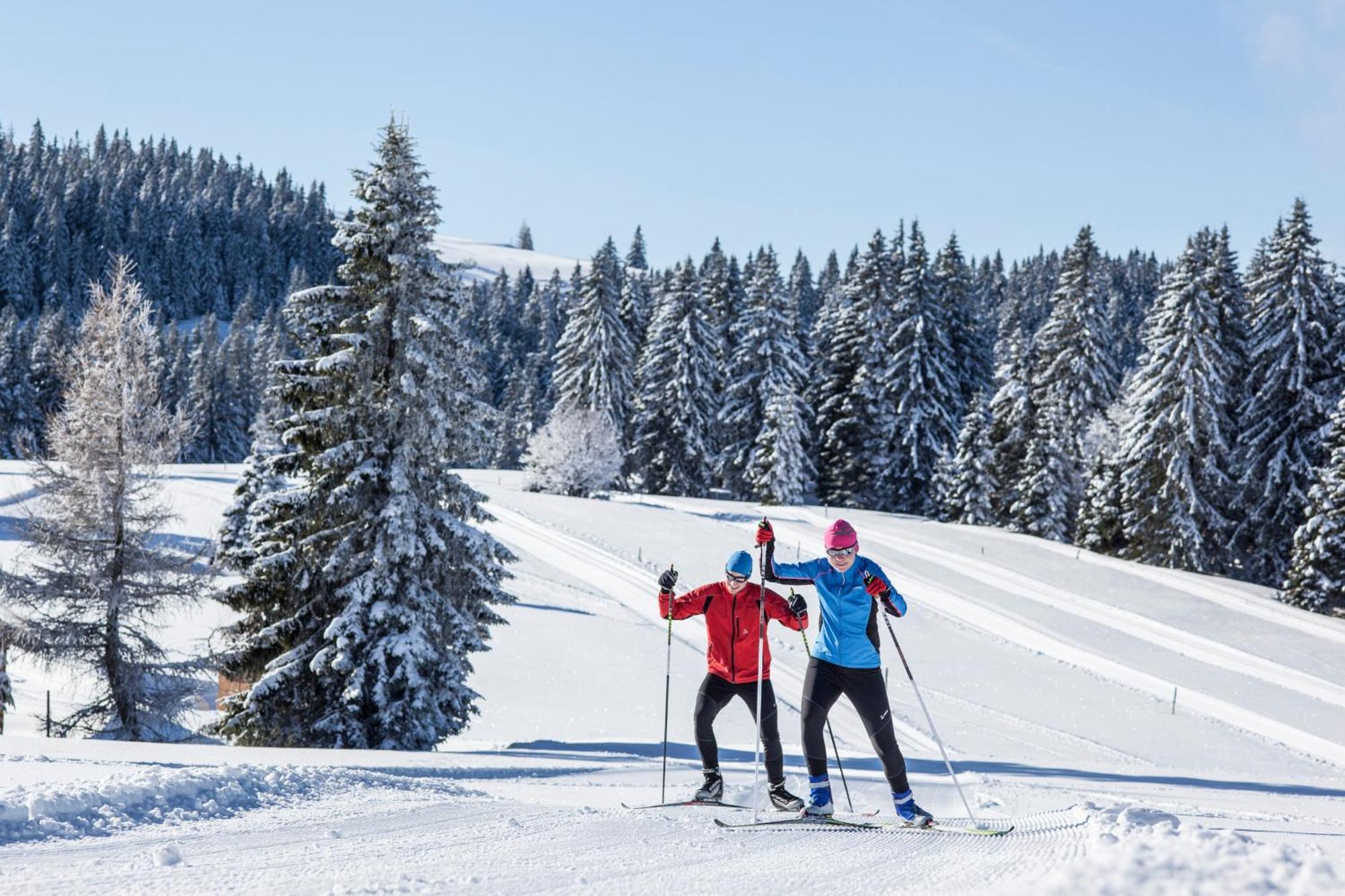 Ferienwohnung Schneelehner, 2-Schlafzimmer, Feldberg Фельдберг Экстерьер фото